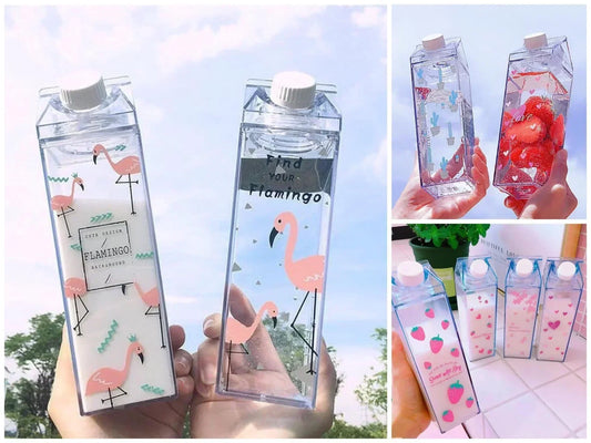 1000ML Eco-Friendly Leakproof Bottle (🔥PACK OF 2🔥)